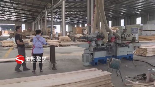 高渡鎮 嚴要求重整改守好安全環保底線