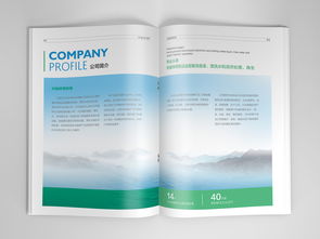 石家莊興燦環(huán)保科技平面書裝設(shè)計賞析——袁曉樂作品展示于站酷